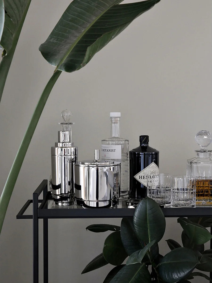 Secchiello per ghiaccio in acciaio inox con pinza Norven