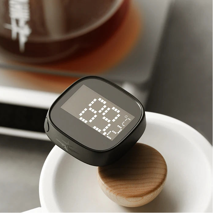 Digitale Präzisionsthermometer